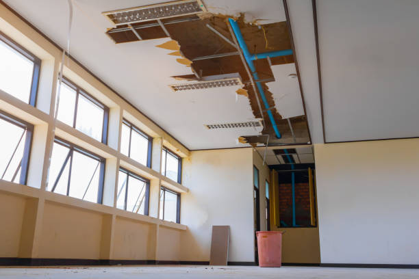 Best Sewage cleanup and water damage restoration  in East Brooklyn, CT