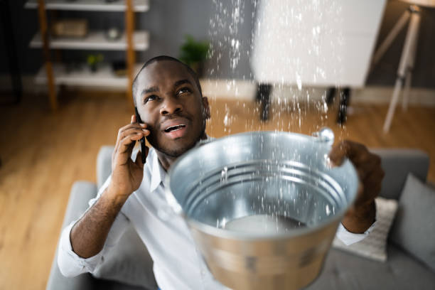 Best Water damage restoration near me  in East Brooklyn, CT