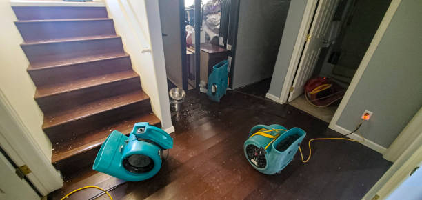 Best Water damage contractors near me  in East Brooklyn, CT