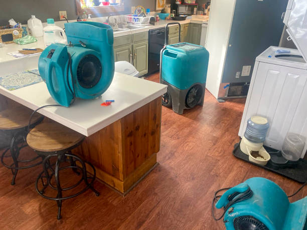 Best Water damage restoration near me  in East Brooklyn, CT