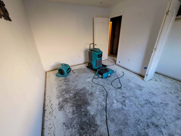Best Local water damage restoration  in East Brooklyn, CT
