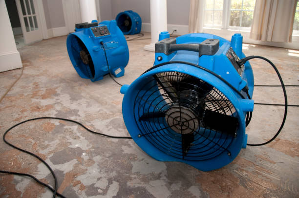 Best Basement water damage restoration  in East Brooklyn, CT