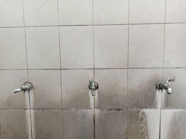 Best Water damage restoration services  in East Brooklyn, CT