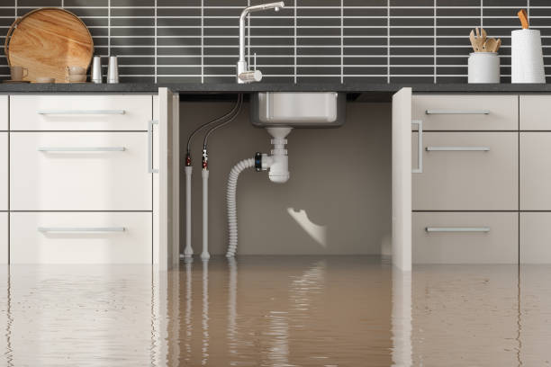 Best 24-hour water damage restoration  in East Brooklyn, CT