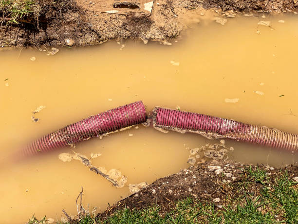 Best Sewage cleanup and water damage restoration  in East Brooklyn, CT