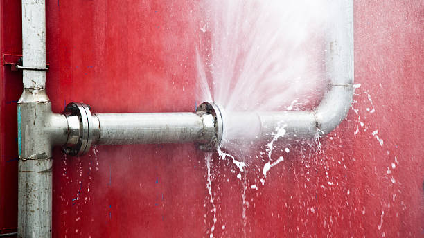 Best Water damage repair service  in East Brooklyn, CT
